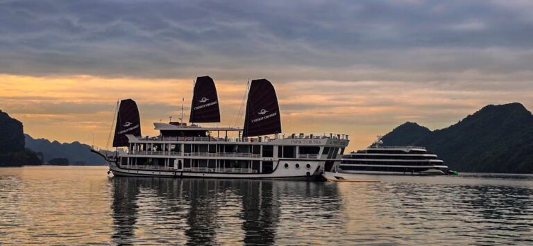 Explore Hidden Gems with Our Expert Tour Operator Partners